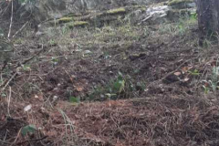 Enduro Estremo Bussi 2021