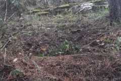 Campionato-enduro-estremo-bussi-1