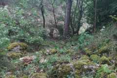 Campionato-enduro-estremo-bussi-2
