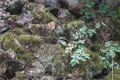 Campionato-enduro-estremo-bussi-5