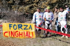 Forza-cinghiale